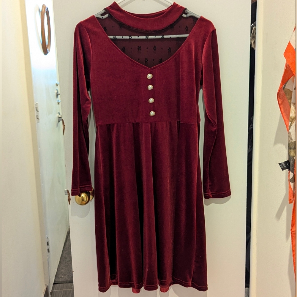 Red Velvet Skater Dress